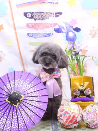 20240517ななちゃん